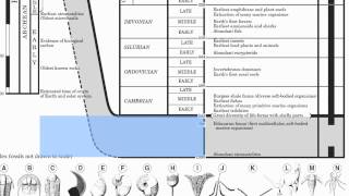 Statistics Lecture 72 Finding Confidence Intervals for the Population Proportion [upl. by Aynotal635]