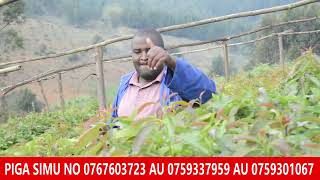 MADEBE COMPANY LIMITED WAUZAJI WA MICHE BORA YA PARACHICHI NJOMBE [upl. by Nerw]