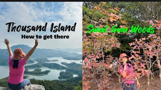 Thousand Island to Sweet Gum woods ofwhongkong hiking [upl. by Ajtak]