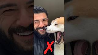 Ruzgar Aksoy wrong ❌ Vs Turgut Bey true ✅ shorts trending viralvideo osmanghazi ytshorts [upl. by Godiva]