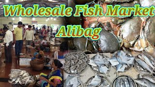 Wholesale Fish Market Alibagअलीबाग मच्छी मार्केट मधून खरेदी केली ताजी मच्छी 🤤Alibag Fish Market 🐟🦀 [upl. by Inalaeham]