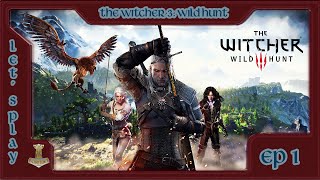 FR REDIFF The Witcher 3 Wild Hunt  Ep 1 [upl. by Airemat]