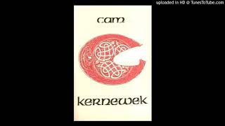 Traditional Celtic Instrumental Music by Cam Kernewek – Towl Ros The Trees They are so High [upl. by Whorton]