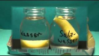 Osmosis Diffusion through membranes  Osmose  Diffusion durch Membranen [upl. by Spielman]