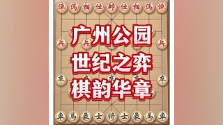 广州公园，世纪之奕象棋高手 喜欢象棋关注我 下棋高手对决 [upl. by Sibyls]