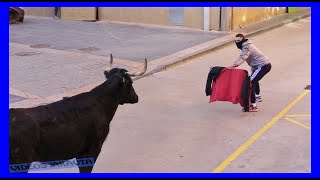 CARIÑENA  ZARAGOZA  TARDE VACAS EN LA CALLE  SABADO 28 ENERO 2023  GANDJAVIER SORIA [upl. by Norvil]