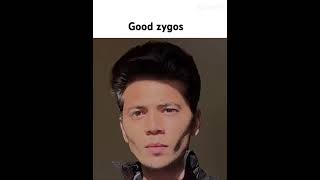 Zygos are good looksmax darktriad [upl. by Naashar]