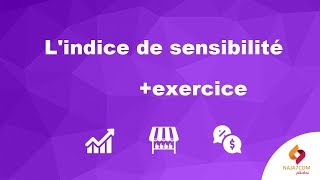 Lindice de sensibilité avec un exercice corrigé [upl. by Ynffit860]