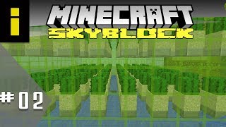 Gettin Rich Off Cactus  SkyBlock Season 1  EP02 Minecraft [upl. by Dahij]