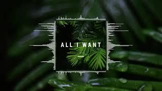 Vaxxder  All I Want Official Audio [upl. by Elazaro]