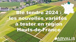 Blé tendre 2024  les nouvelles variétés à tester en région HautsdeFrance  ARVALISfr [upl. by Libb]