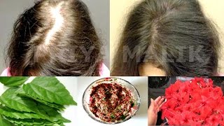 HOW TO STOP HAIR FALL  100 NATURAL HAIR LOSS TREATMENT  HAIR MASK FOR HAIR GROWTH  PRIYA MALIK [upl. by Arrak]