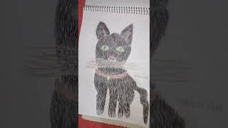 desenho do gatinho preto feito com Sandreli Silva que resultado bom que ficou [upl. by Aronoff]