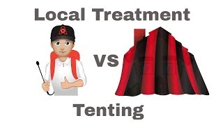 Termite Local Treatment vs Fumigation Choosing the Right Termite Treatment for Your Home [upl. by Jacques]