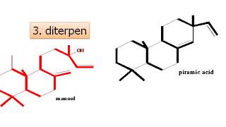 Contoh Senyawa Terpenoid [upl. by Kristofor704]