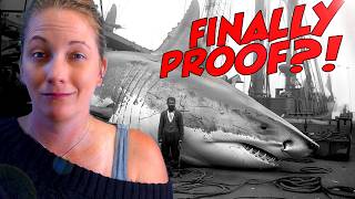 Megalodon Fact VS Fiction Marine Biologist Shows the Evidence [upl. by Daffie]