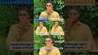 Master These 4 Breathing Techniques for Instant Calm amp Energy yoga shorts pranayama [upl. by Aisekal]