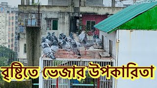 বৃষ্টিতে ভেজার উপকারিতা [upl. by Ahsirkal]