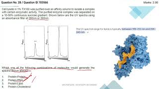 pyq CSIR NET JUNE 2024 MOR P5 [upl. by Adria]