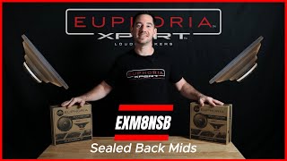 An in depth look at Sealed Back Midrange Speakers [upl. by Mathew]