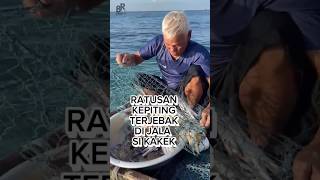 Ratusan Kepiting yang Terjebak di Jala Nelayan shorts short [upl. by Nnaeiluj]