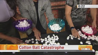 Labor Day Games  Cotton Ball Challenge [upl. by Martella]