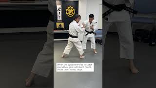 Maki gote Shorinji Kempo techniques [upl. by Karna130]