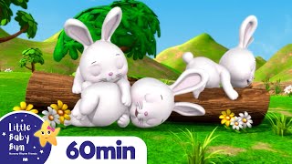 Sleeping Bunnies More Nursery Rhymes and Kids Songs  Little Baby Bum [upl. by Celtic]