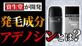 【発毛剤】ミノキシジルを「使いたくない」人へ！アデノシンとは [upl. by Other]