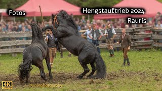 Hengstauftrieb 2024 Rauris Dias [upl. by Masha713]