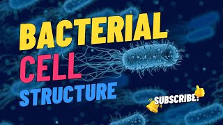 Bacterial Cell Structure  Microbiology [upl. by Irianat770]