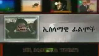 Amharic Allah Miracles Harun Yahya 16 [upl. by Nylknarf538]