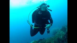 Sharkskin Diving in PNG [upl. by Lightman529]