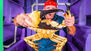 Japanese Chef Prepares GIANT Tasmanian CRAB Over 700 [upl. by Thornburg244]