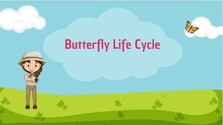 Butterfly Life Cycle [upl. by Birdella365]