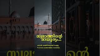 Naariyathu Swalath  Alla Mere Thoba  Kannur Muhammed Ali  Mammali Kambil [upl. by Ldnek]