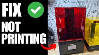 Elegoo Mars 4 not printing  How To Fix [upl. by Davis988]