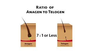 Telogen Ratio Definitions [upl. by Geraint782]