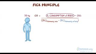 Cardiac Output with Fick Principle [upl. by Arramahs373]