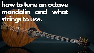 How to tune an octave mandolin and what strings to use [upl. by Ardnuhsed123]