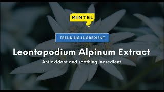 Mintel Trending Ingredient Leontopodium Alpinum Extract [upl. by Aicnom151]