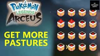 How to Get More Pastures amp Boxes in Pokemon Arceus  31 PASTURES [upl. by Anaiv]