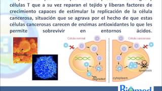 Ozonoterapia en el tratamiento para el Cáncer [upl. by Gambrill]