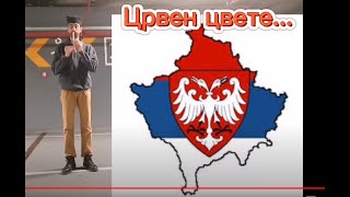 Црвен цвете Инструментал на фрули са текстом [upl. by Tse]