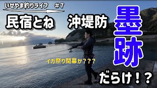 【福井県】民宿とねの手漕ぎボートで沖堤防に渡ってみたら…いか、イカ、烏賊だった。 [upl. by Bust]