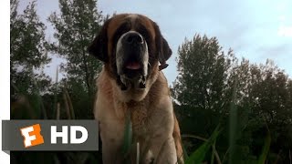 Cujo 1983  Trailer [upl. by Schug]