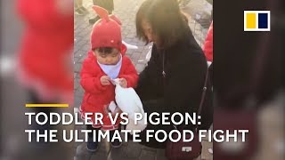 Toddler vs pigeon Chinese kid steals food from pigeon’s beak [upl. by Pears]