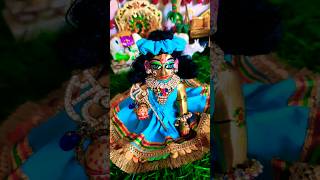 Ladoo Gopal new Shringar video new shortvideo keshav laddugopal kanhu [upl. by Norehc]