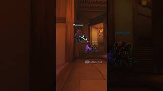 Is Reinhardt actually insane [upl. by Allerbag]