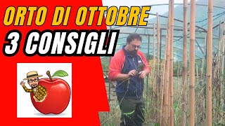 ORTO DI OTTOBRE e alla fine ti dico cosa fare agricoltura ottobre orto compost [upl. by Yarb]